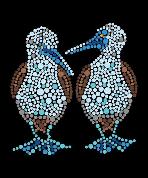 Blue Footed Booby Q