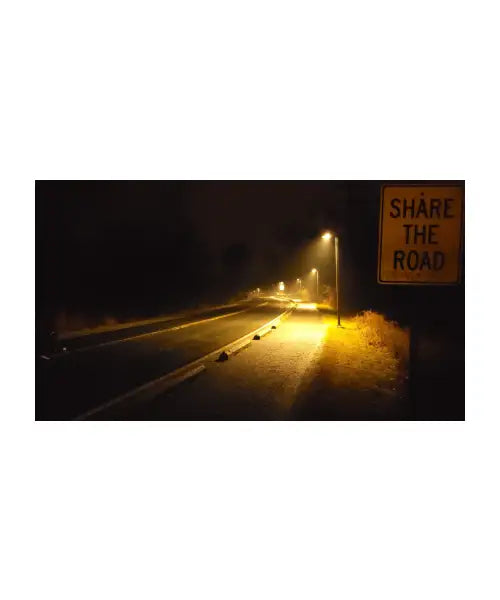 Shore the Raad