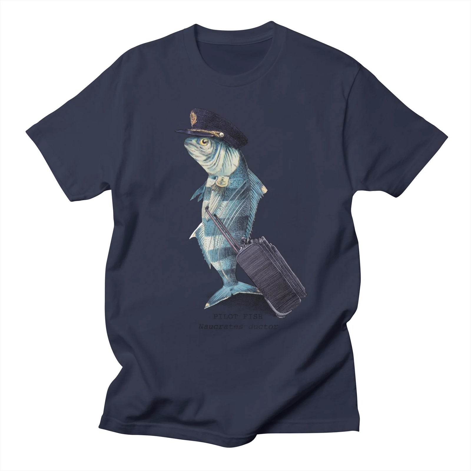 Pilot Fish