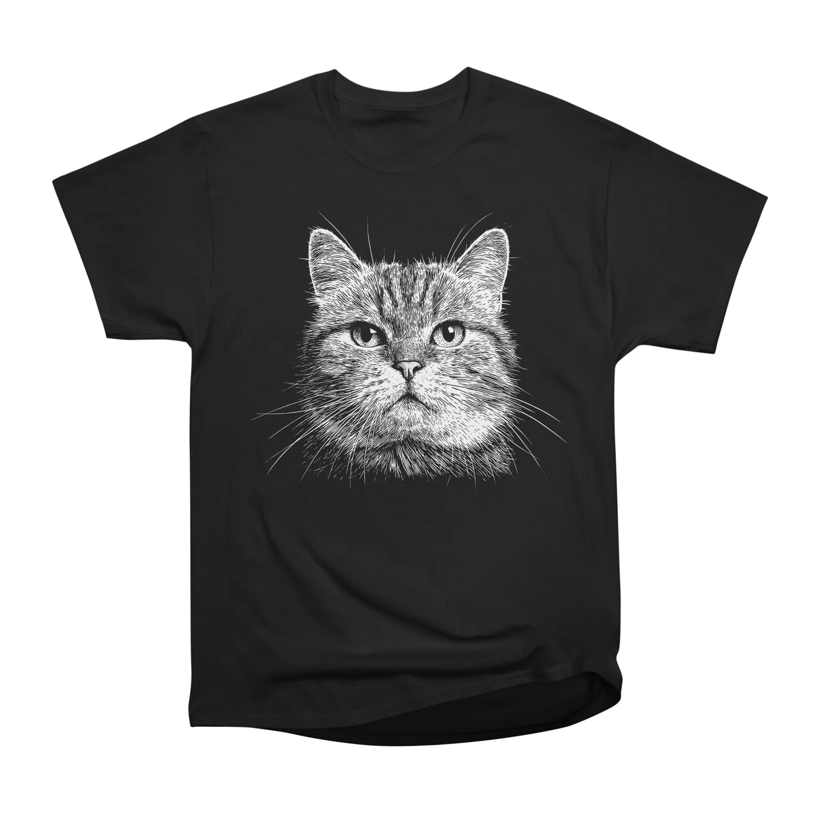 Cute Cat Portrait