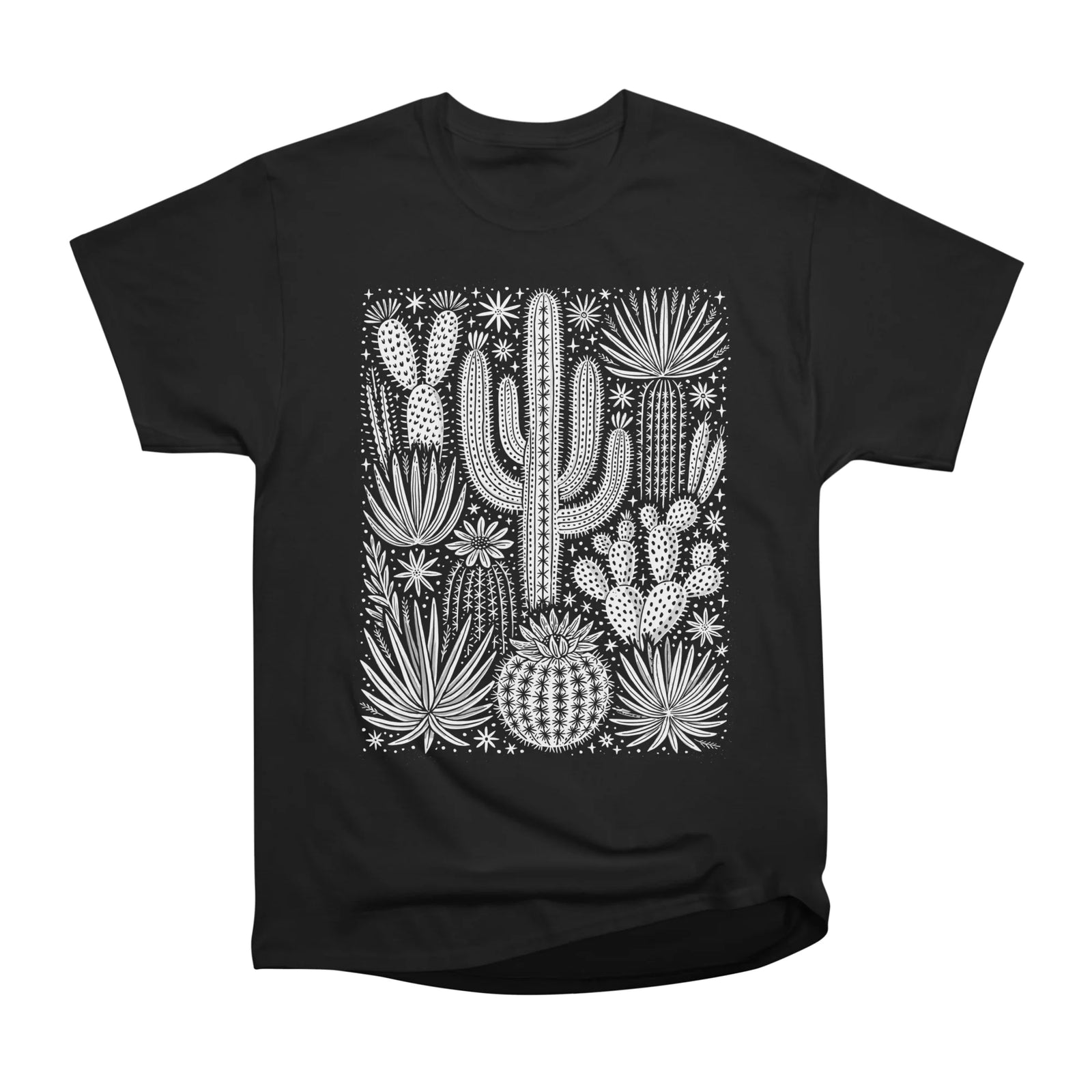 Desert Cactus Garden