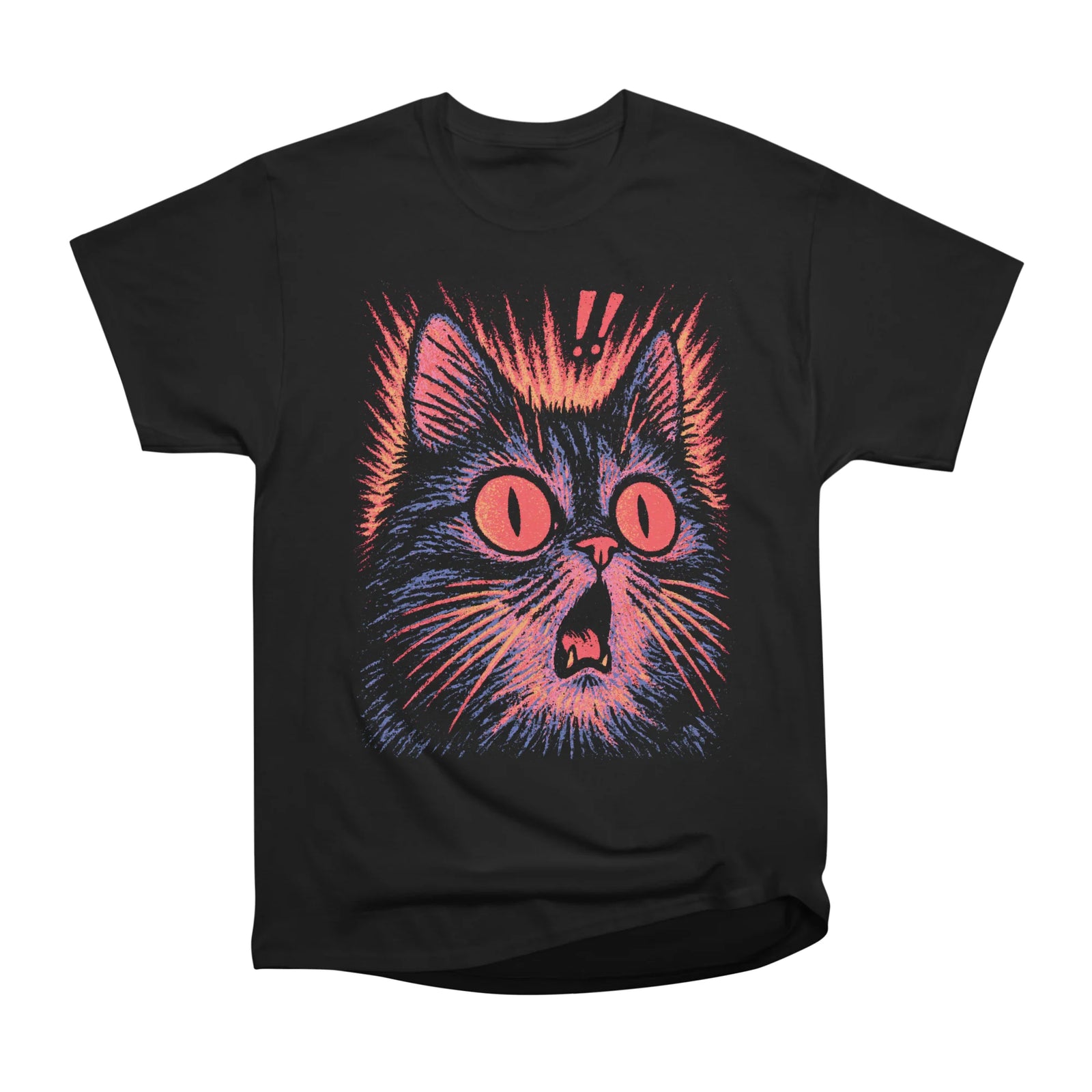 Surprised Cat