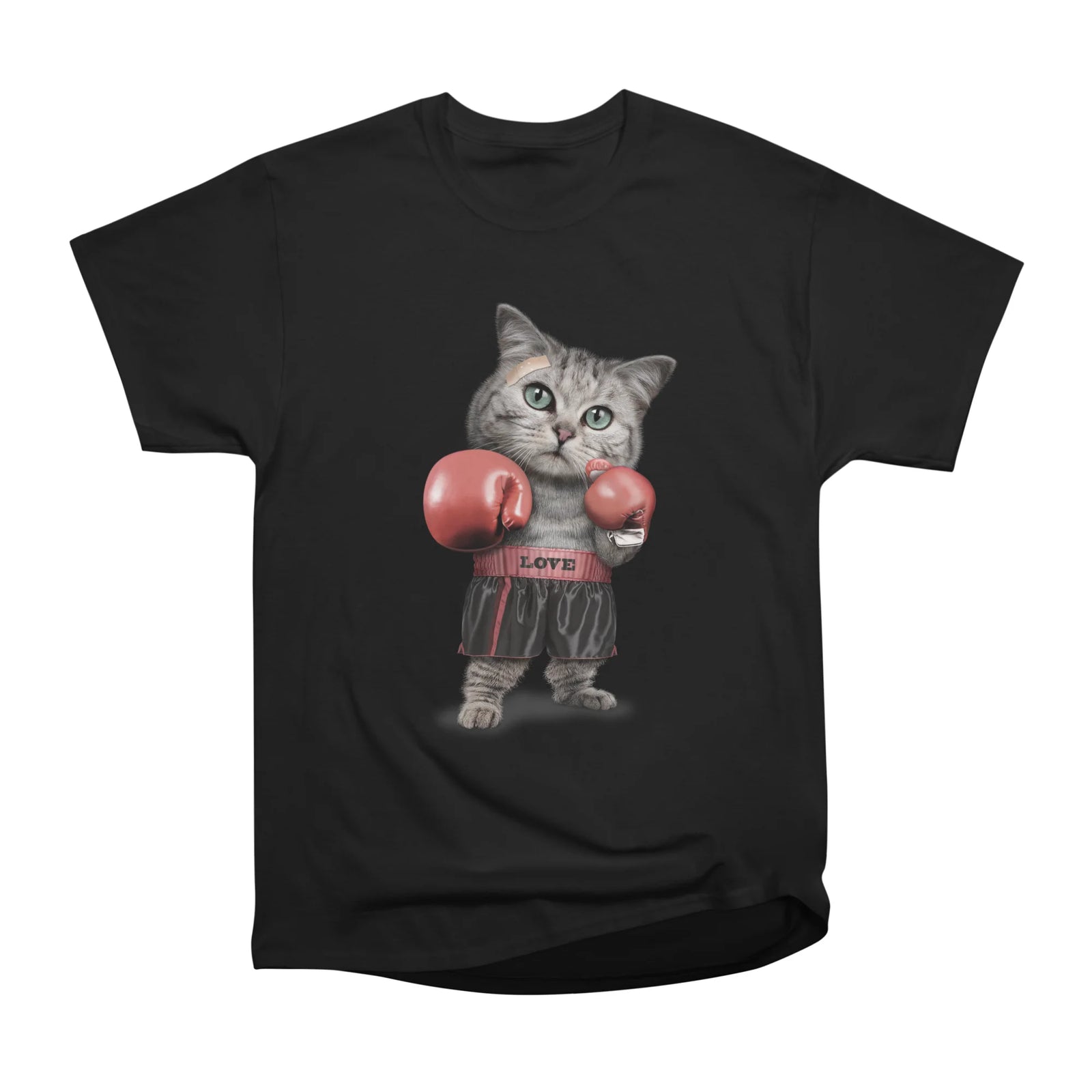 BOXING CAT