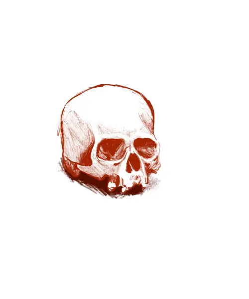 Conte Skull