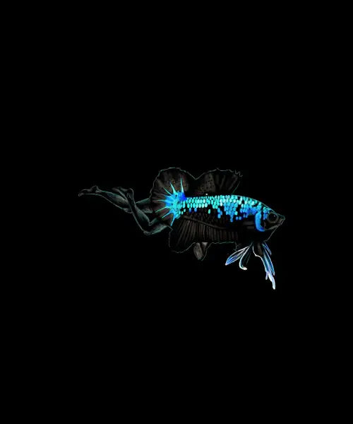 Gothfish