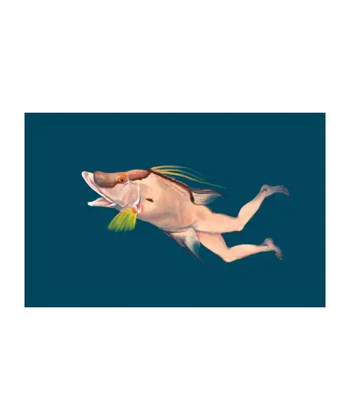 Hogfish