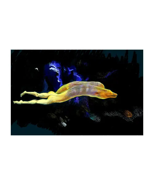 Moray Eel