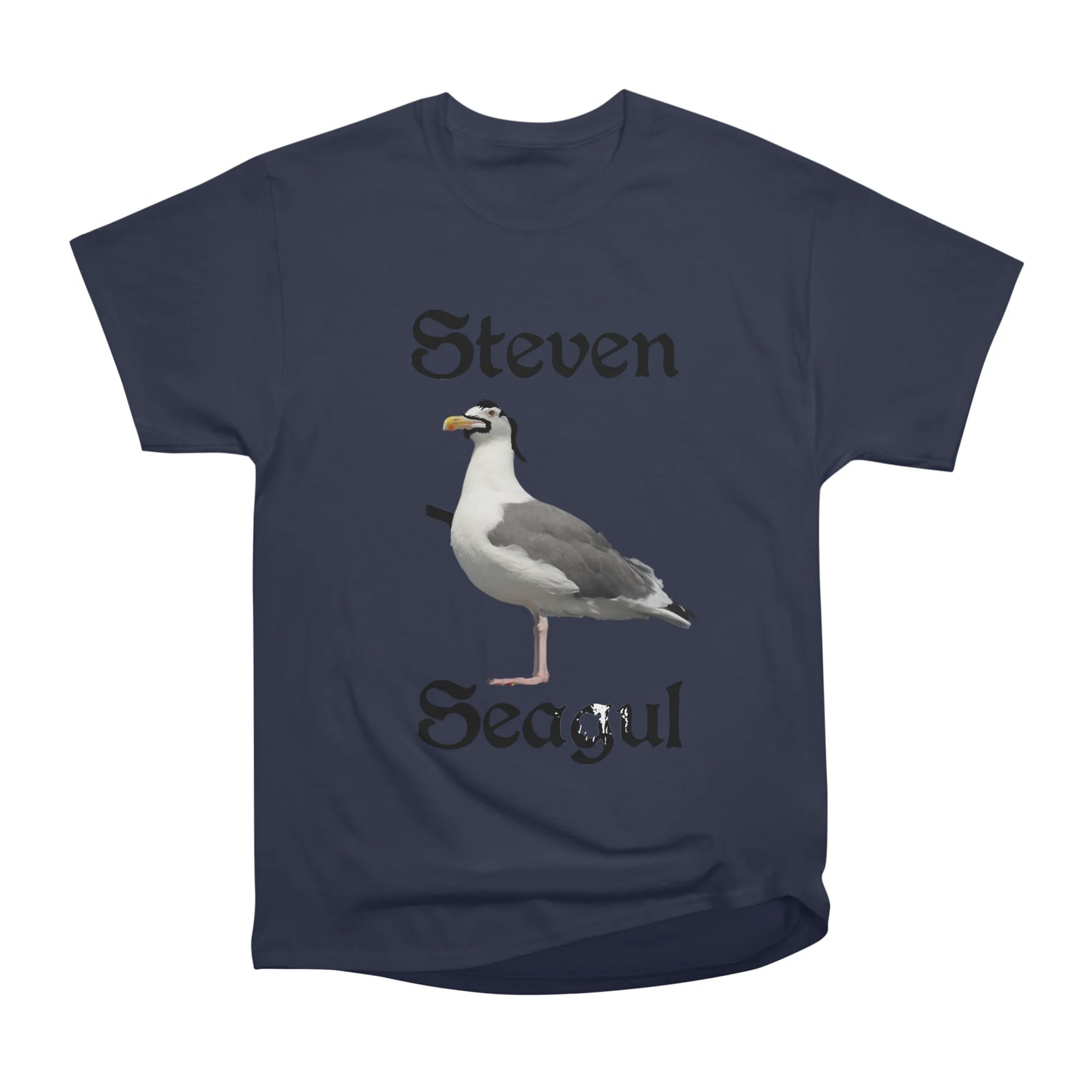 Steven Seagull