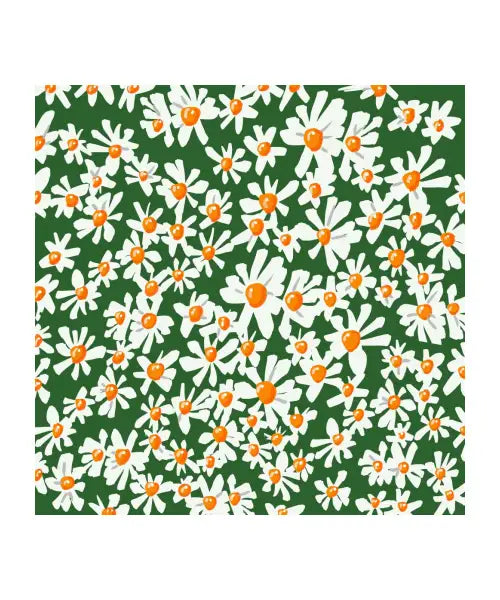 Daisies