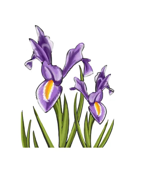 Irises