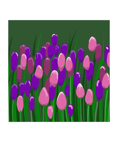 Tulips