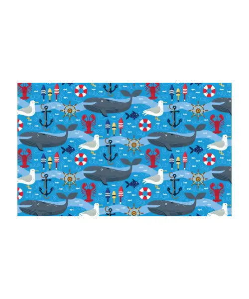 Whale Watching