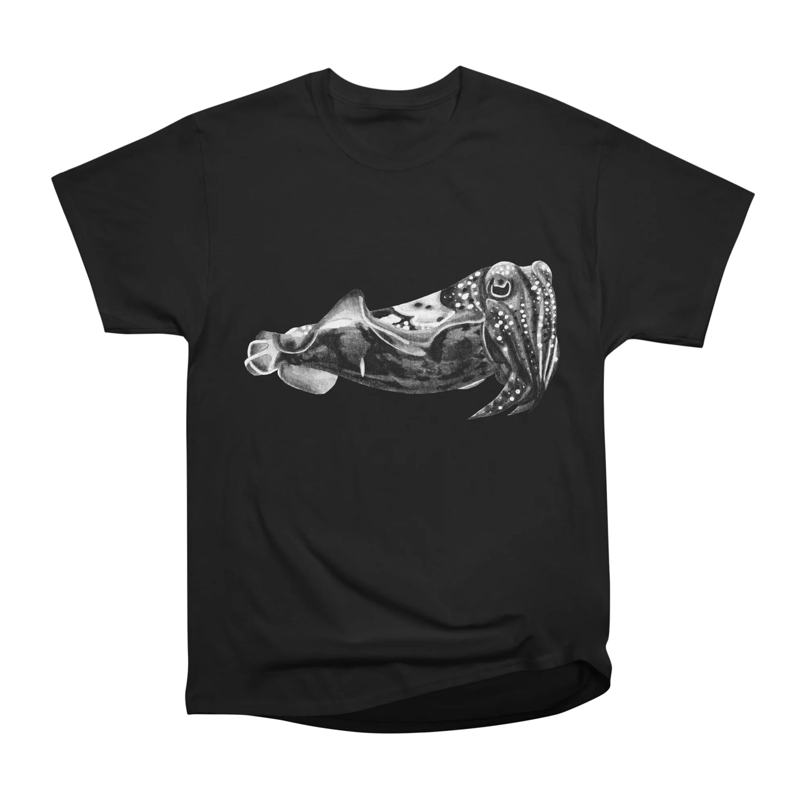 Cuttlefish