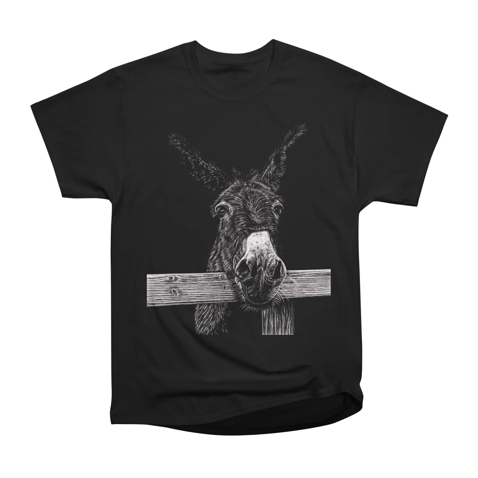 Donkey illustration