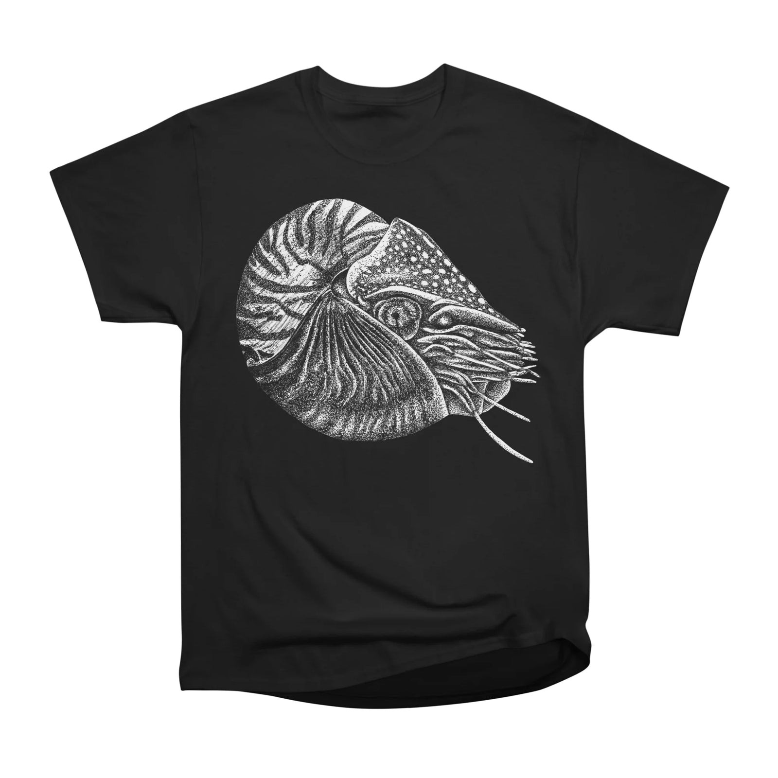 Nautilus fish