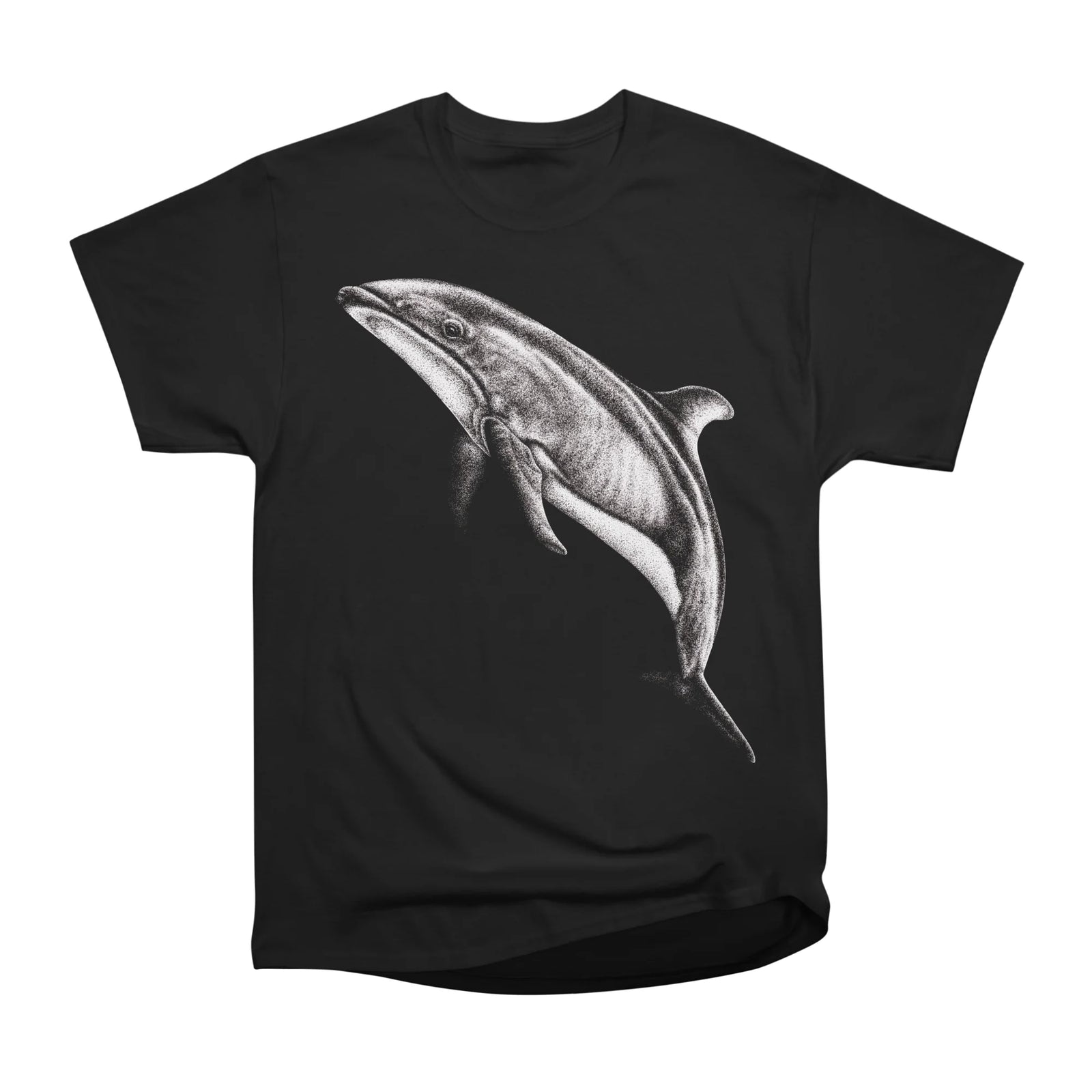 Pacific white-sided dolphin
