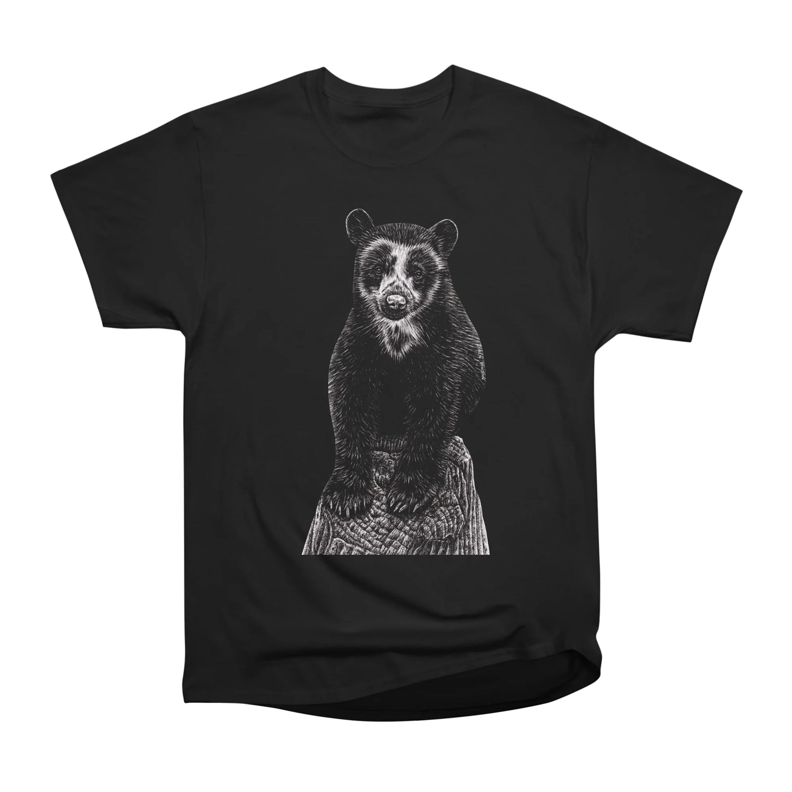 Spectacled bear cub
