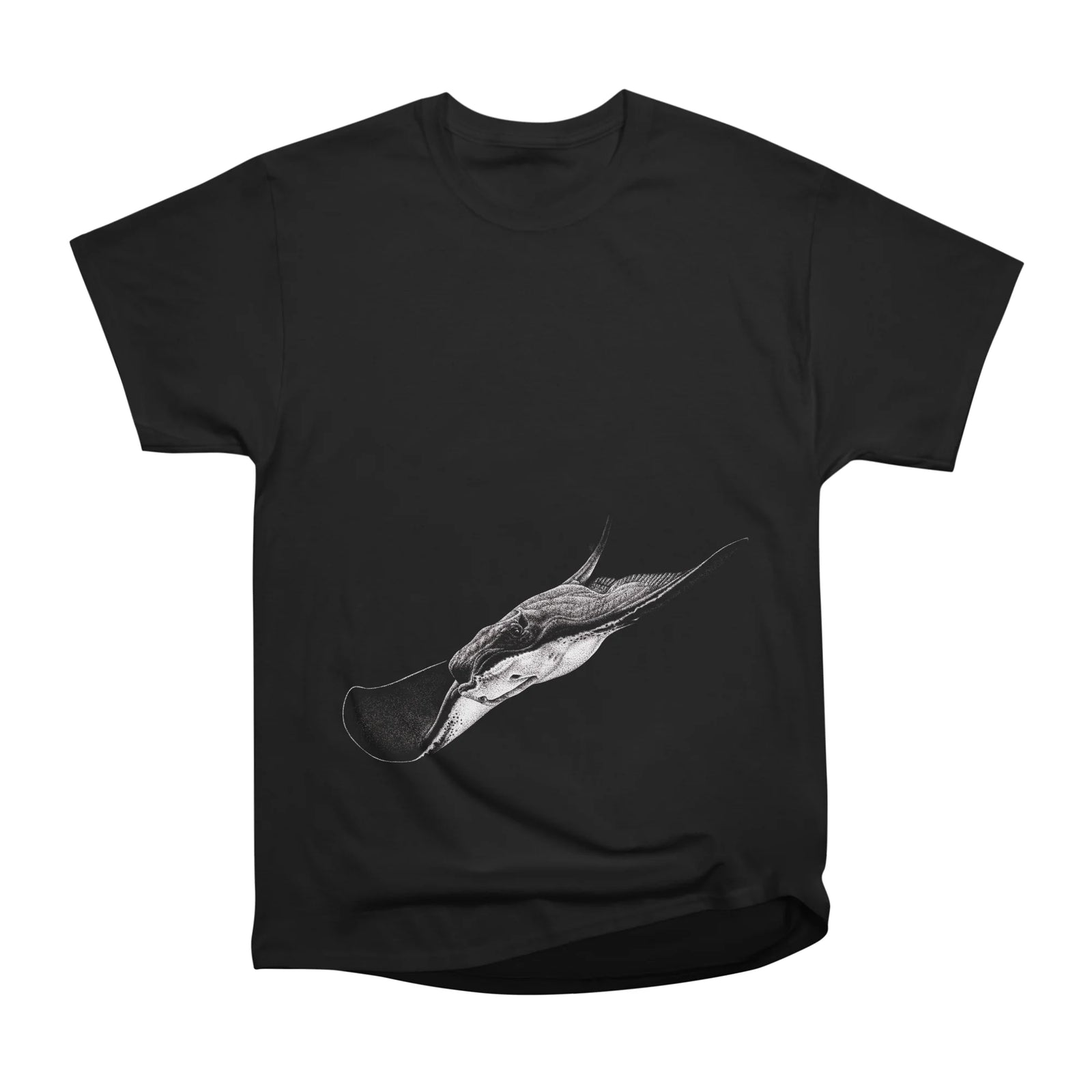 Stingray