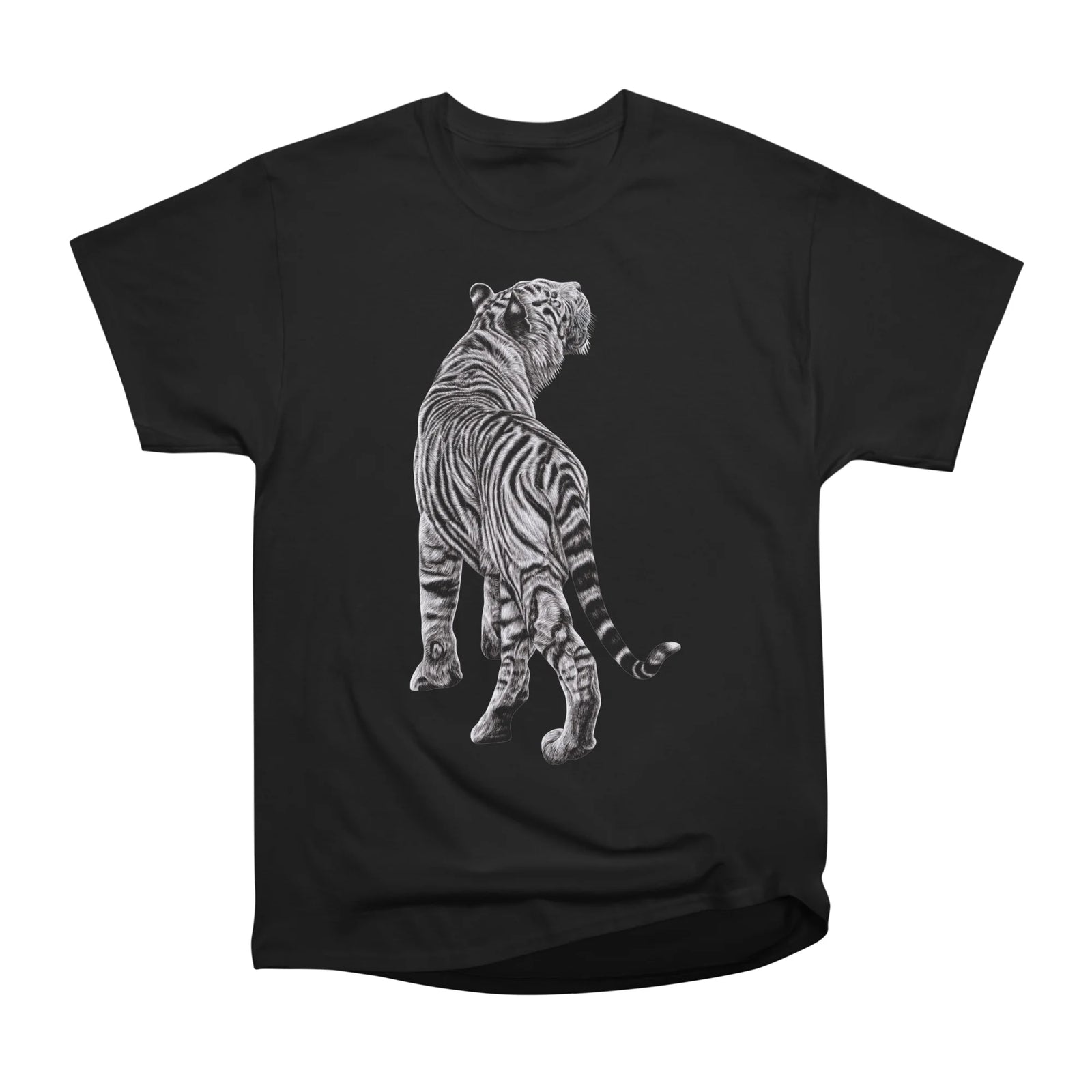 White tiger illustration