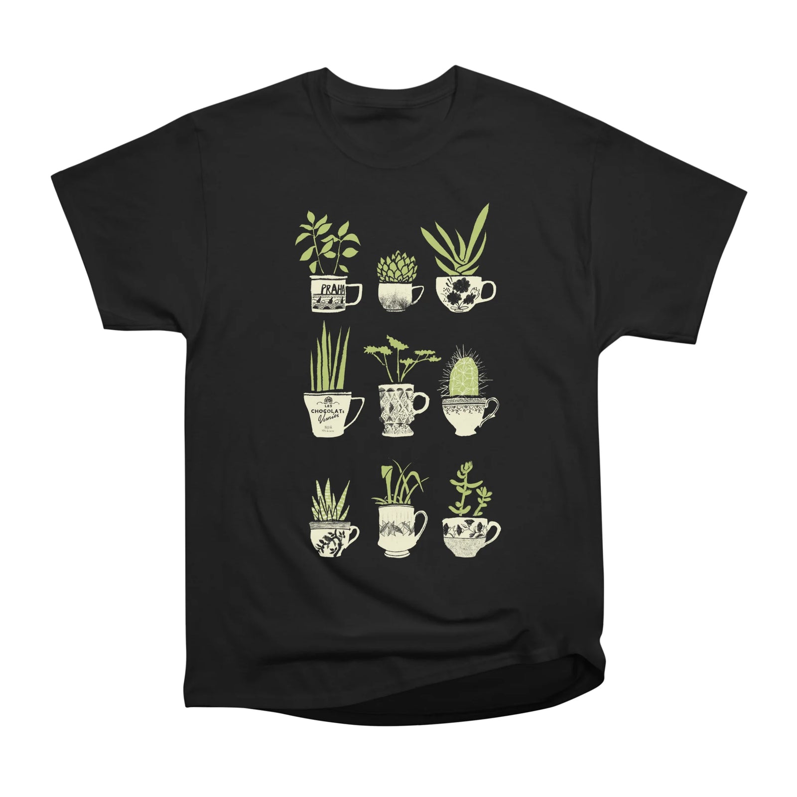 Teacup Succulents