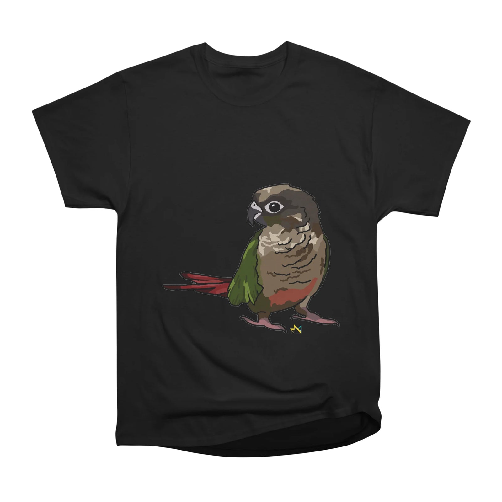 Conure Bird