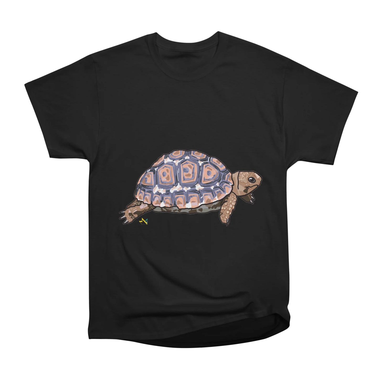 Tortoise