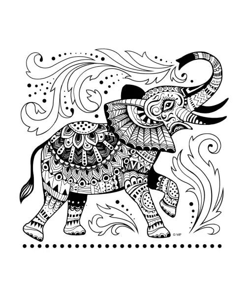 Elephant Shower