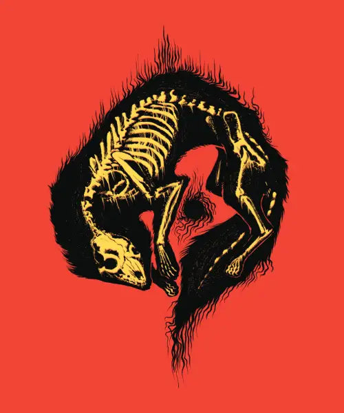 destruct//decompose