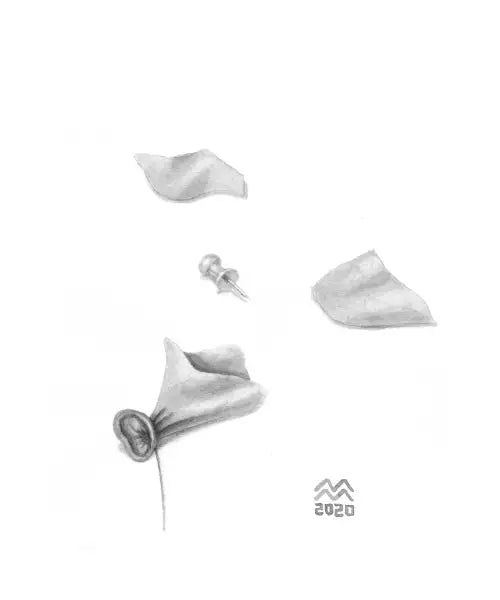 Popped balloon