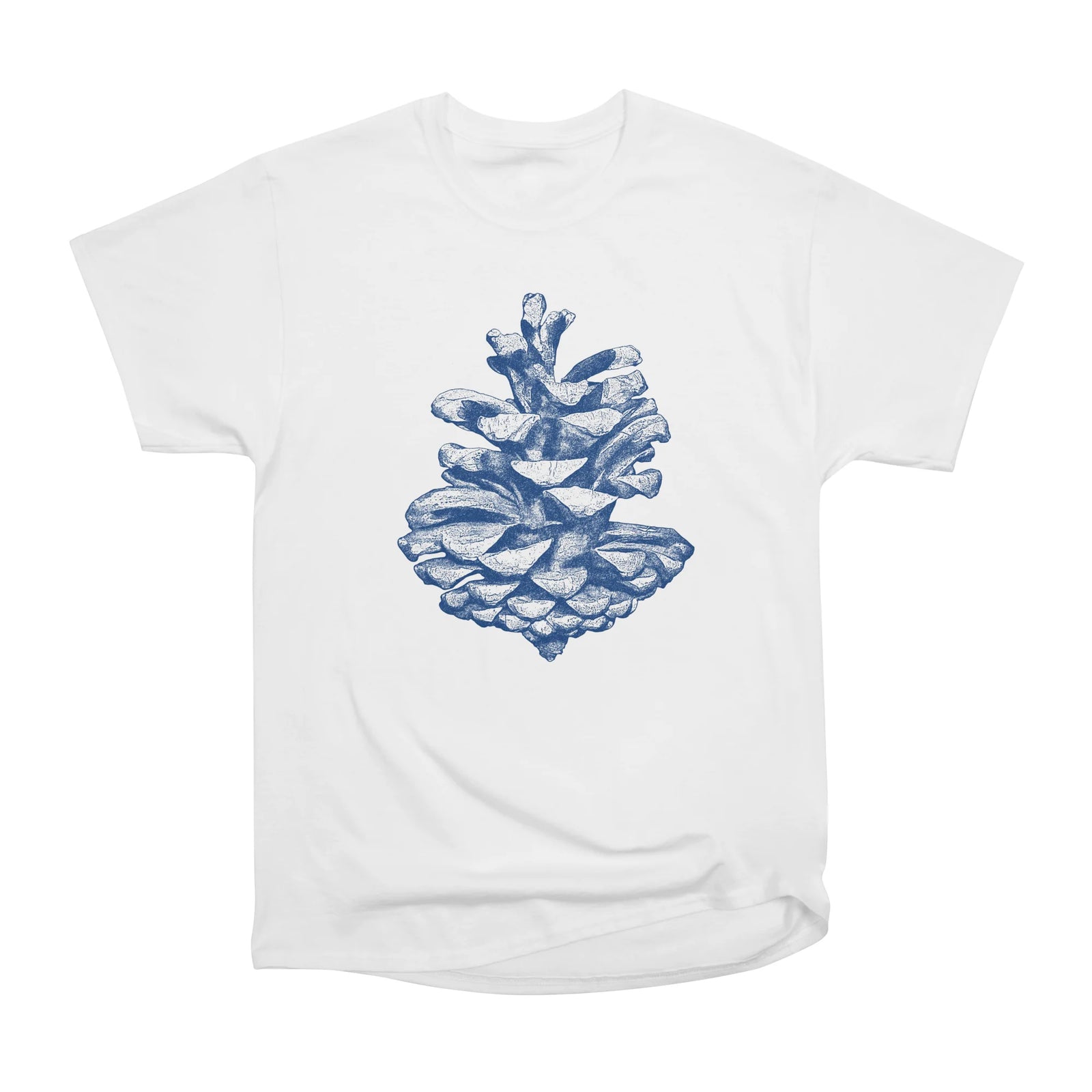 Blue Pine Cone Drawing