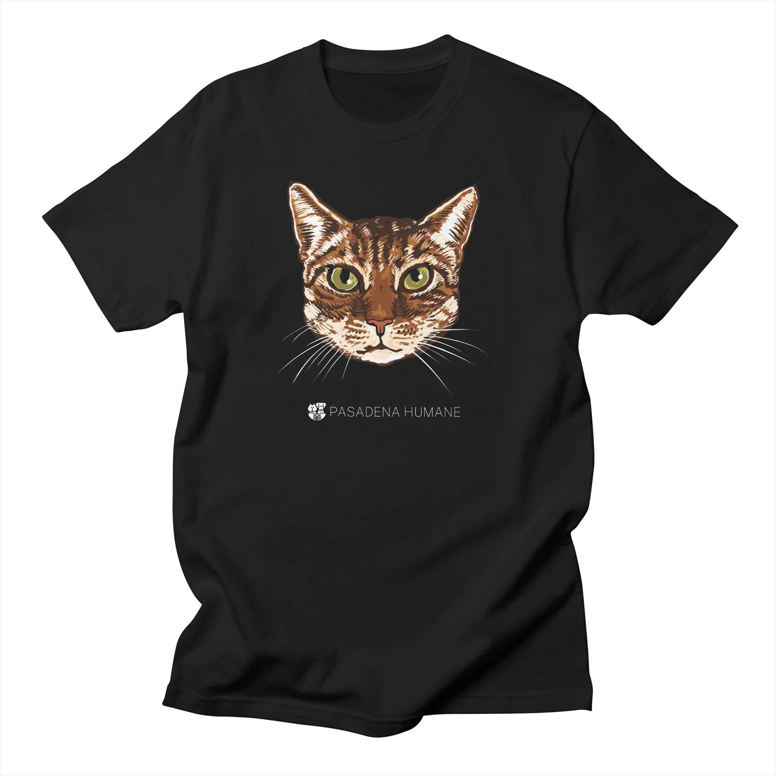 ScratchyCat