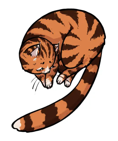 Brown Tabby