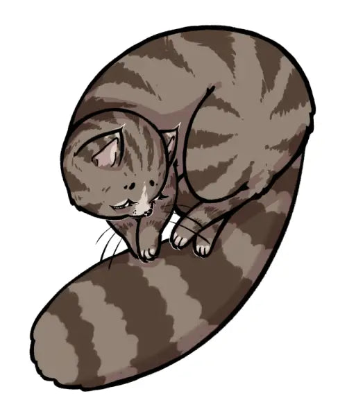 Grey Tabby