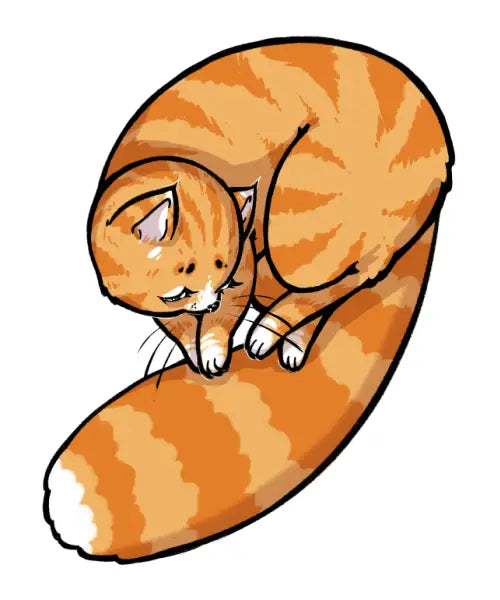 Orange Tabby