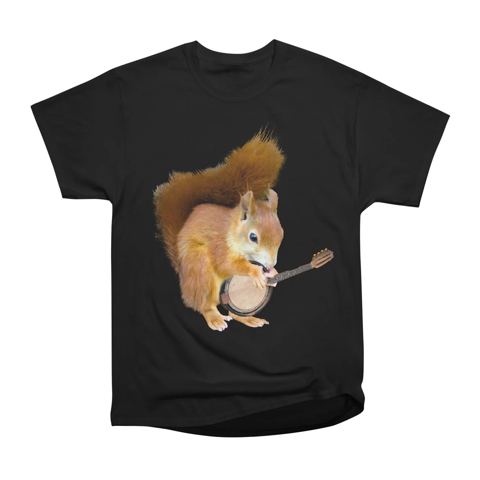 Squirrel Playing Banjo