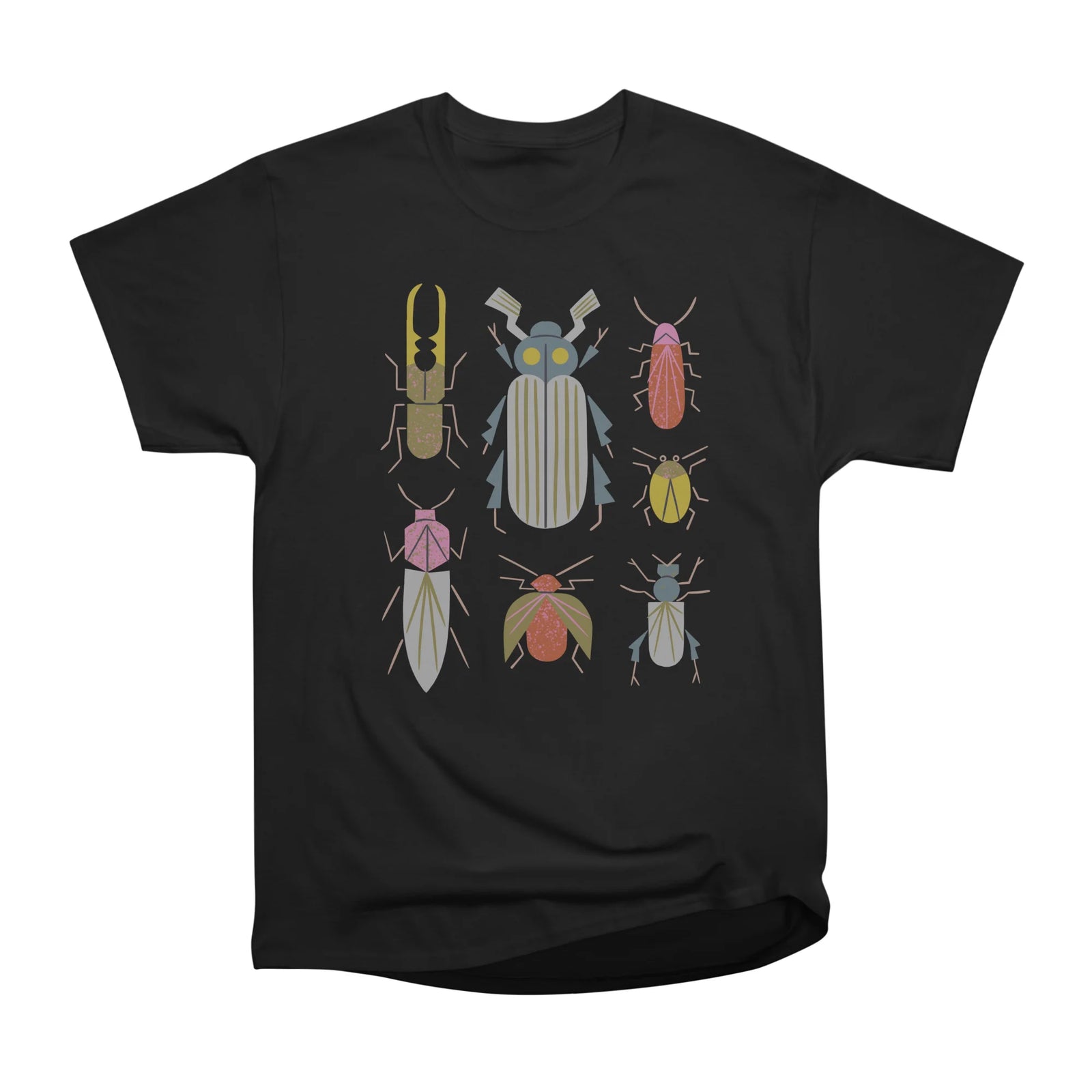 Beetle Specimens