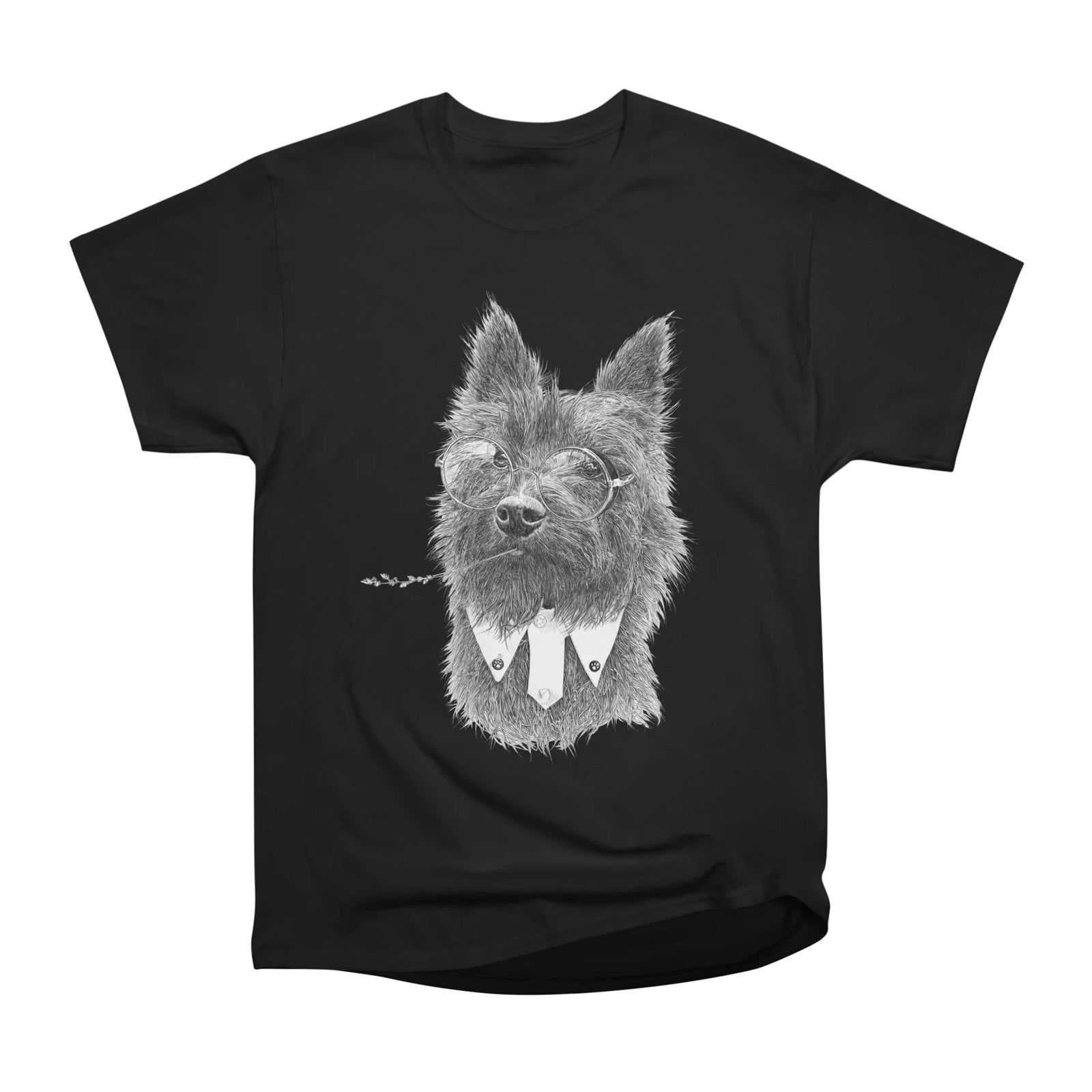 Toto Terrier
