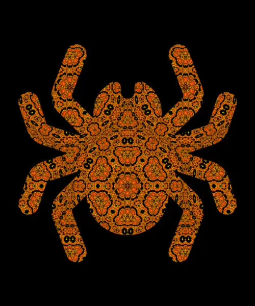 Spooky Spider