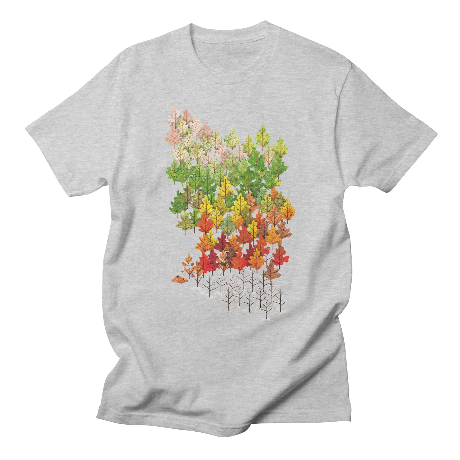 Seasons