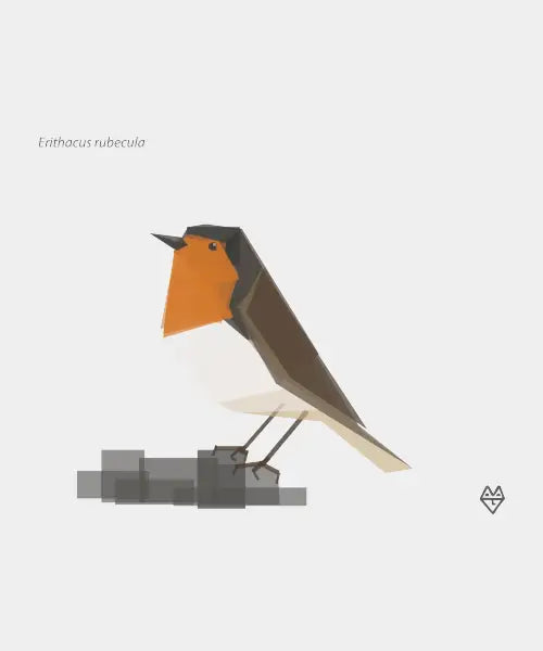 Robin
