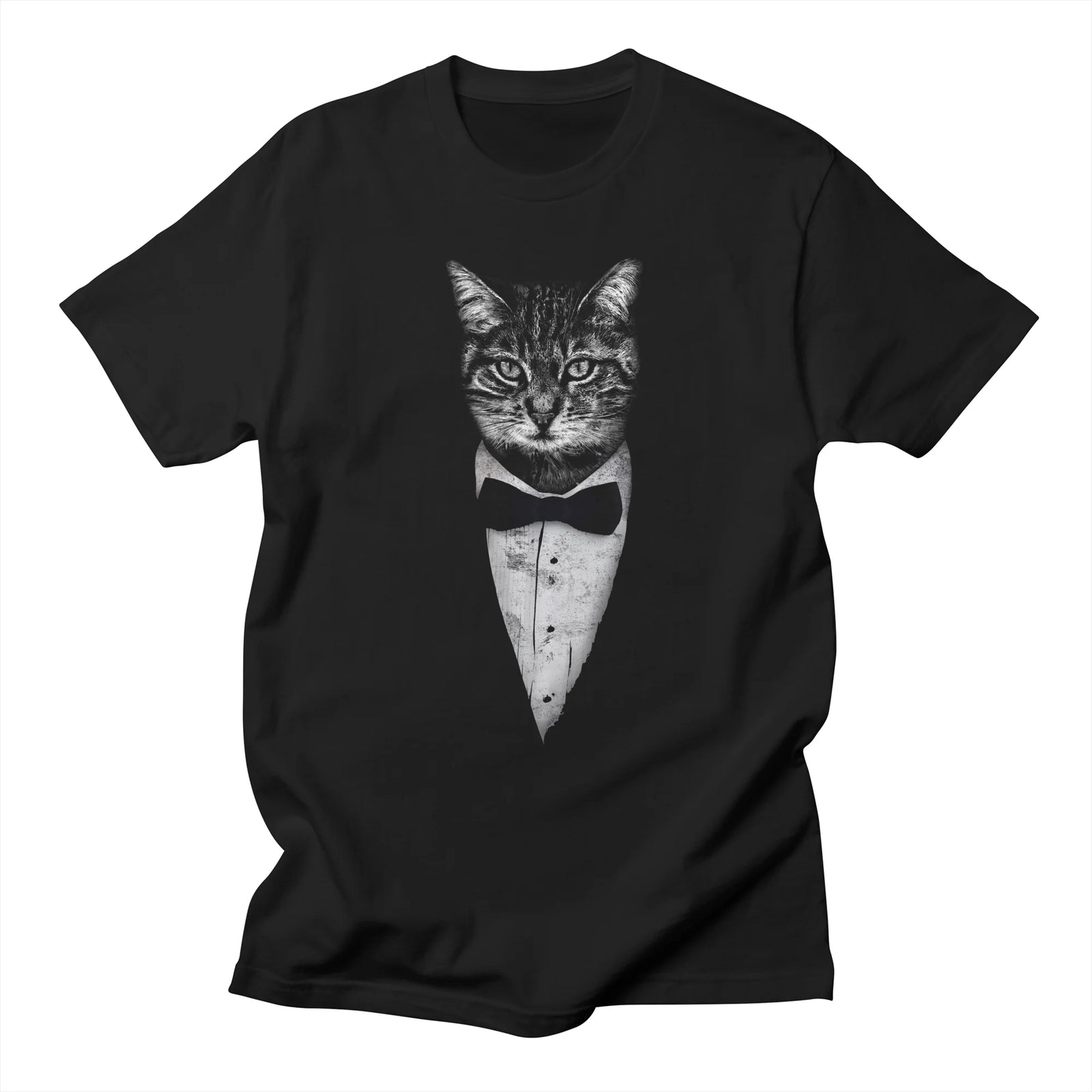Mr Cat