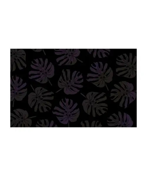 Monstera - Nocturna collection