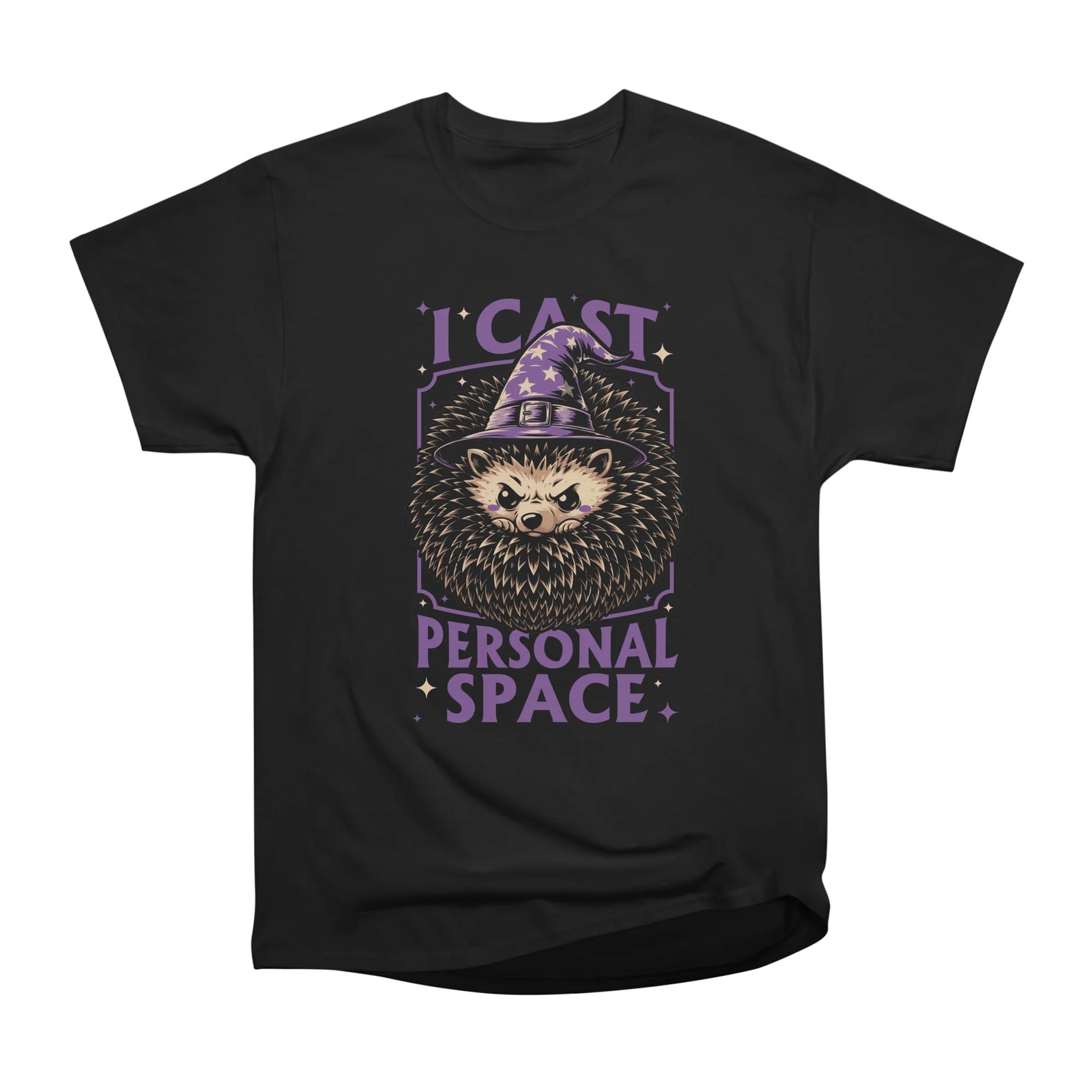 Hedgehog Wizard Magic