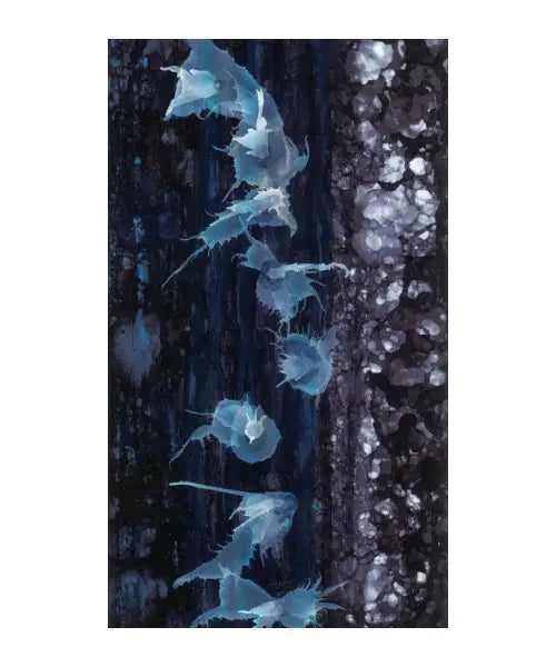 Jellies