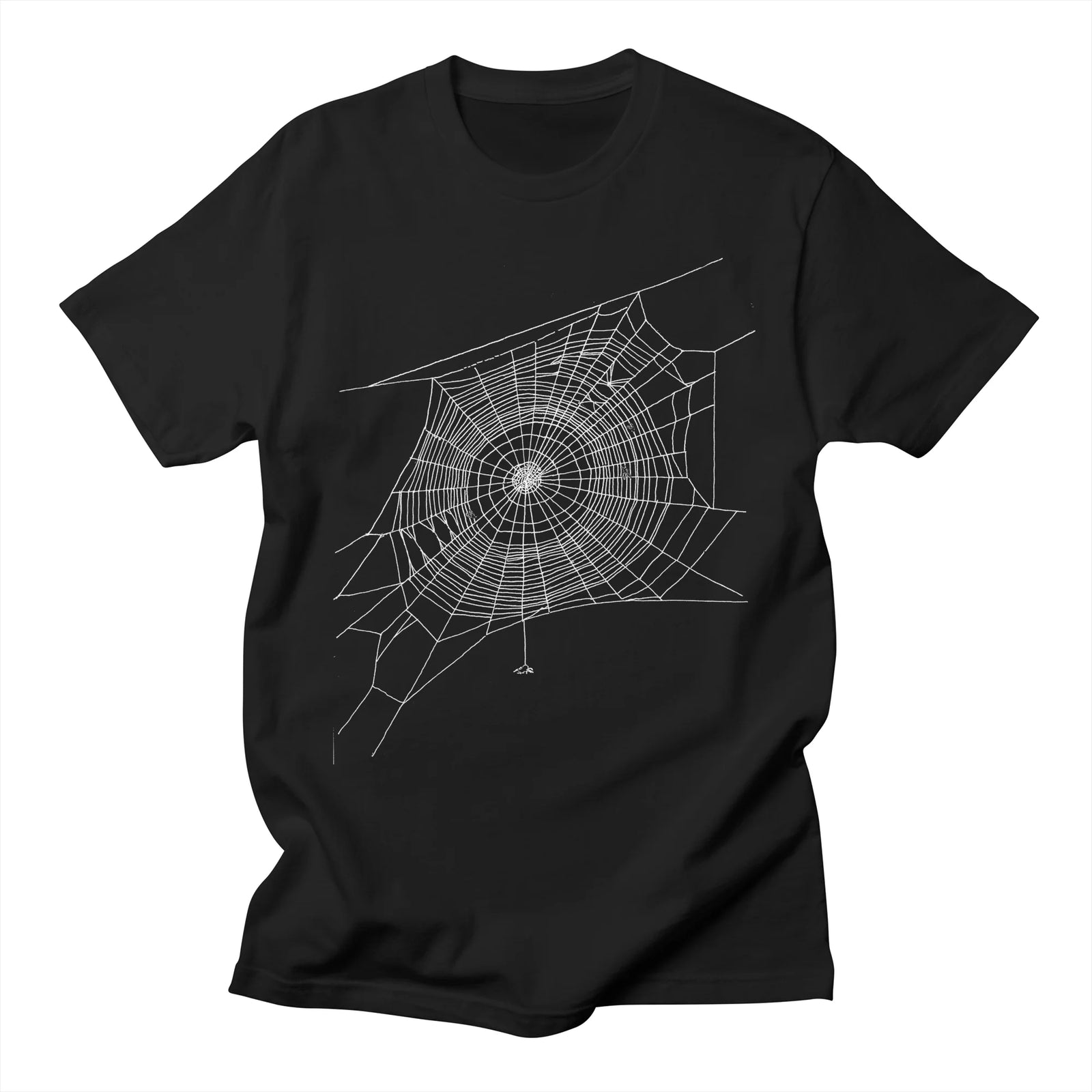 Spider's Web