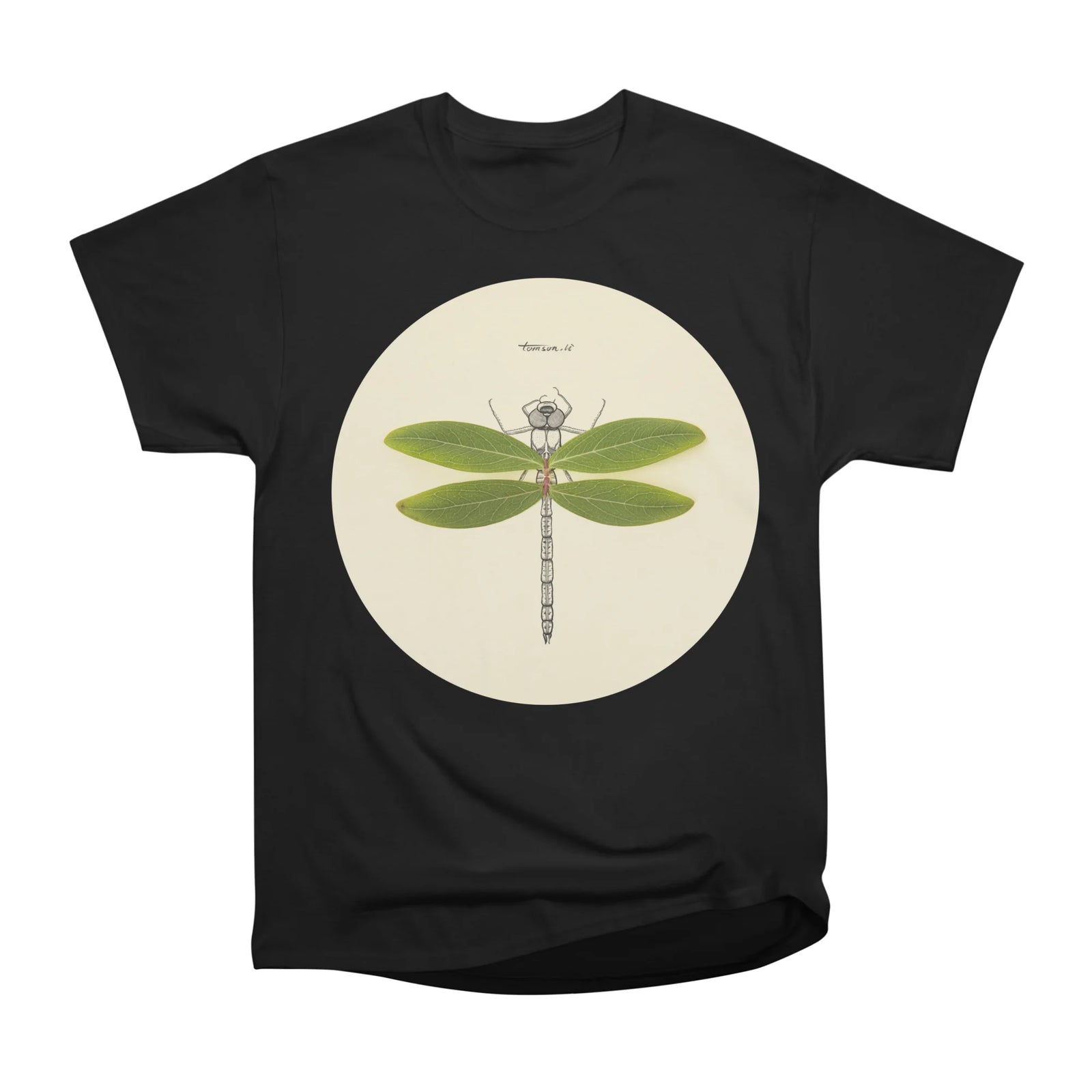 Dragonfly