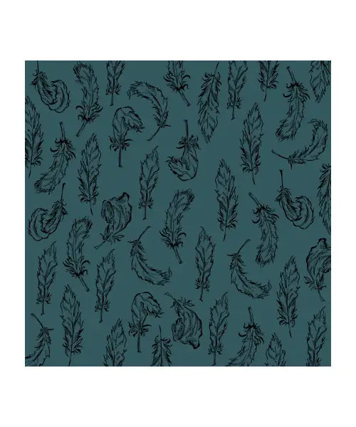 Feathers