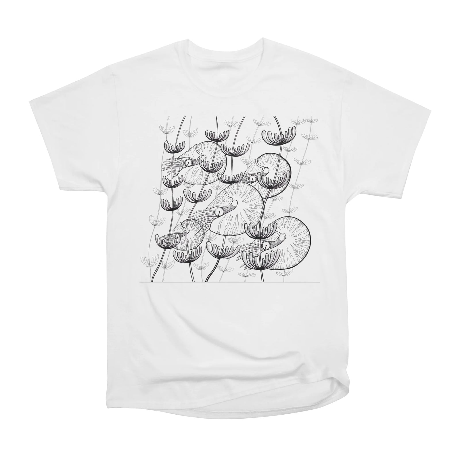 Nautilus collection