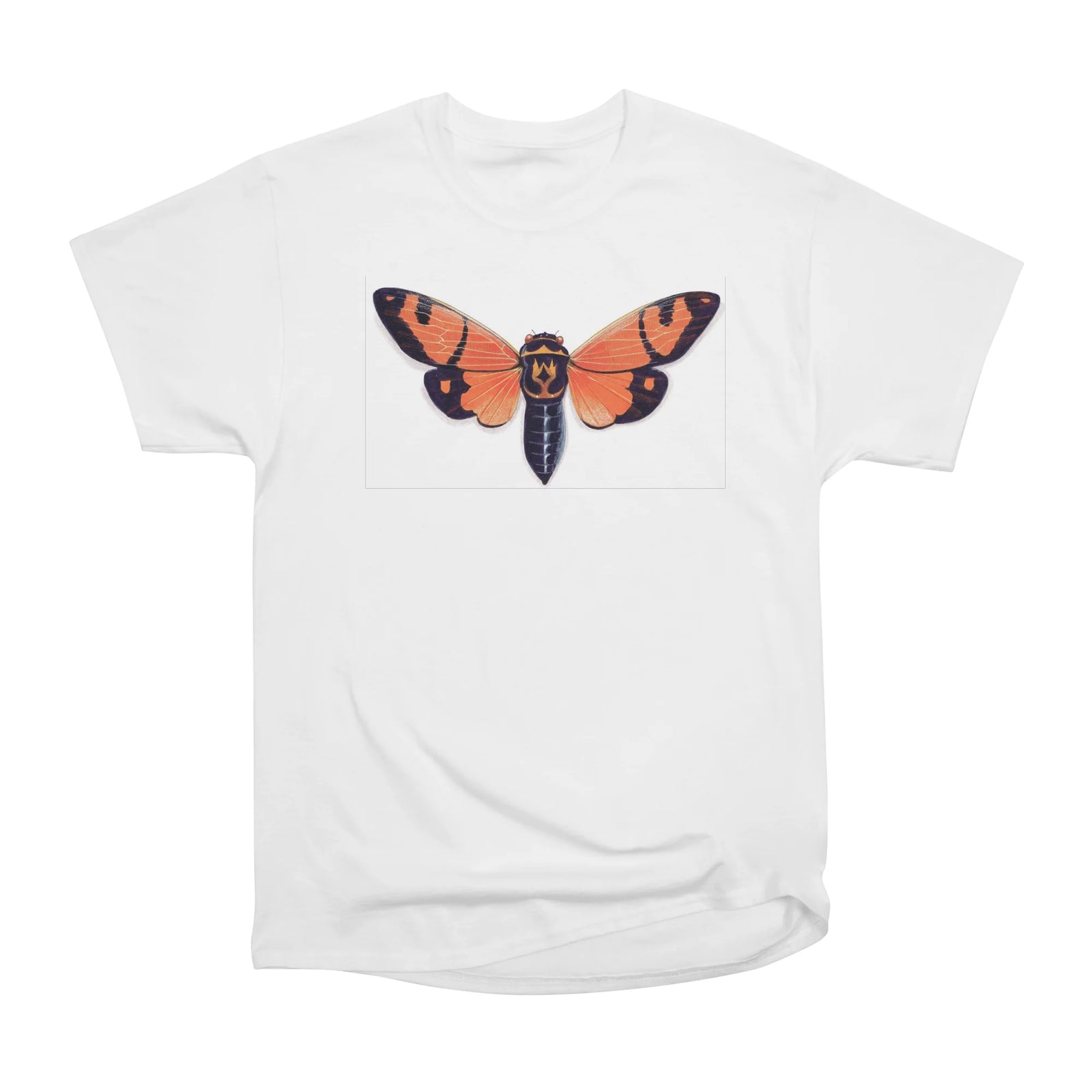 Orange Cicada