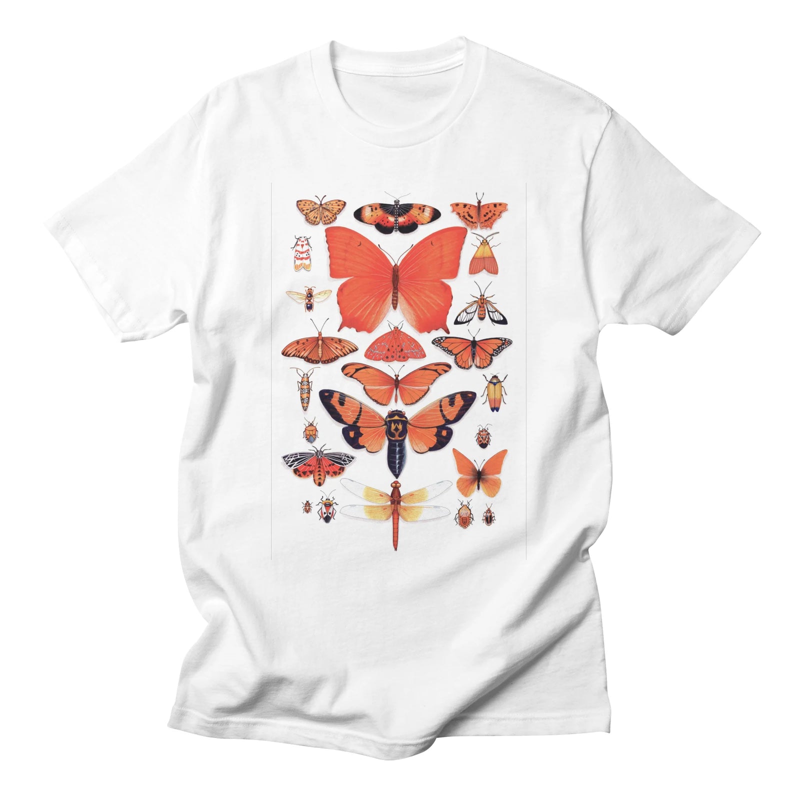Orange Insect Collection
